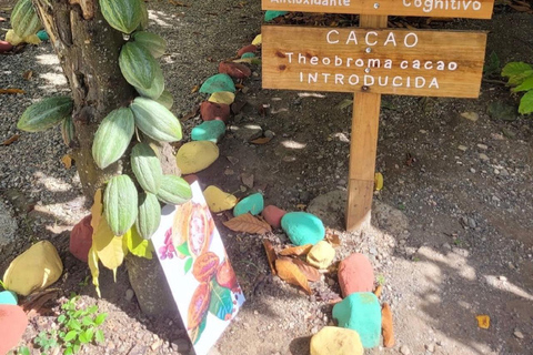 Puerto Plata: City Tour, Plantation, and Chocolate Factory