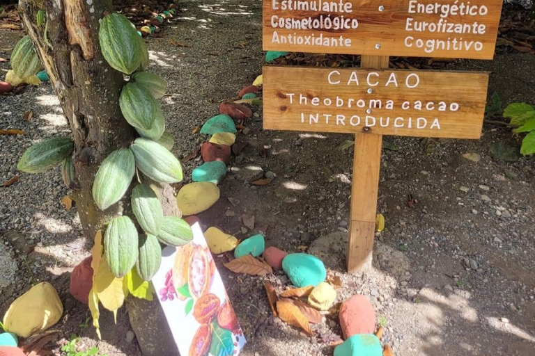 Puerto Plata: City Tour, Plantation, and Chocolate Factory