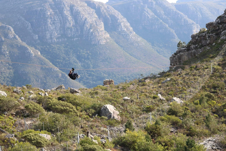 Cape Town: Zipline Adventures (Hotel Pickup &amp; Dropoff incl.)