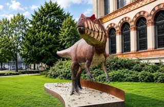 Mailand: Natural History Museum Entry Ticket & Audioguide