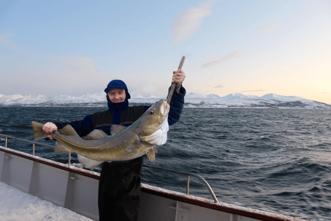 Tromsø: Arktyczne wędkowanie i rejs po fiordach z owocami morza na luksusowym jachcieTromsø: Luksusowy rejs na ryby i owoce morza