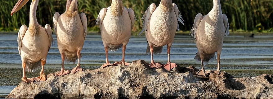 Mayotte : 6 jours d'aventure dans la Grande Comore