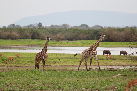 3 DayS Mikumi Safari from Dar es Salaam.