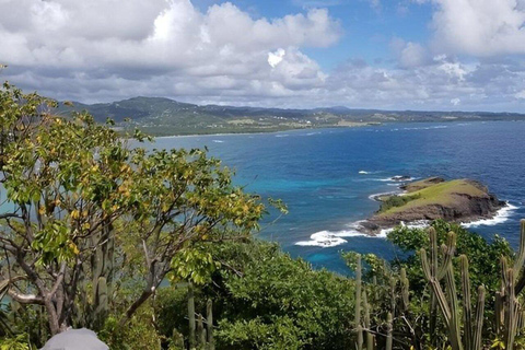 Maria Island National Park Wildlife & Scenic Day Tour