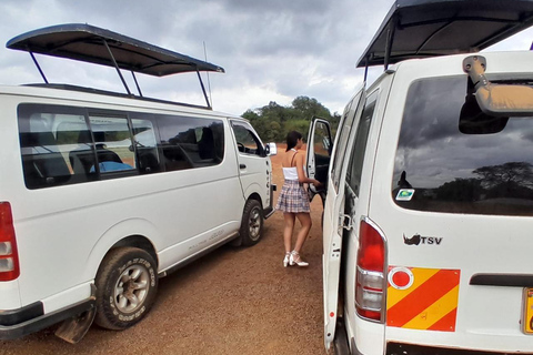 Nairobi: National Park Half-Day Group Tour with Pickup