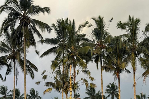 Ubud: Temple, Waterfall, Rice Terrace, Ubud Market & Palace Without entry tickets