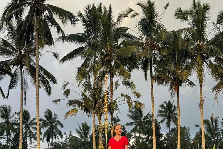 Ubud: Temple, Waterfall, Rice Terrace, Ubud Market & Palace Without entry tickets