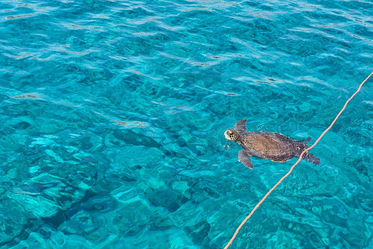 3-Hour Sunset Cruise from Protaras with Fruit & Champagne