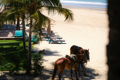 Barbados: Beach and Rainforest Horse Riding Combo 2-Hour Beach and Rainforest Horse Riding Combo