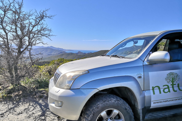4x4 Agriates Desert and Beach Excursion from Calvi