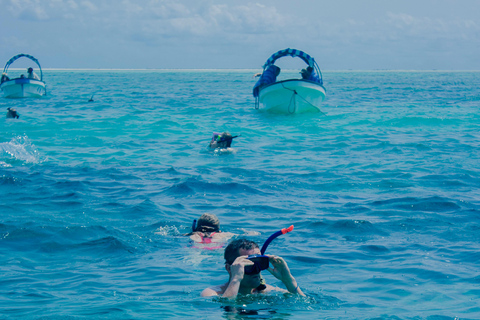 Zanzibar: tour privato dell'isola di MnembaTour privato. Non c'è il servizio di prelievo in hotel e non c'è il pranzo.