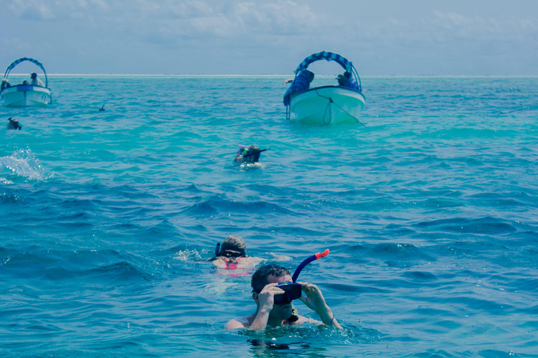 Zanzibar: tour privato dell'isola di MnembaTour privato. Non c'è il servizio di prelievo in hotel e non c'è il pranzo.