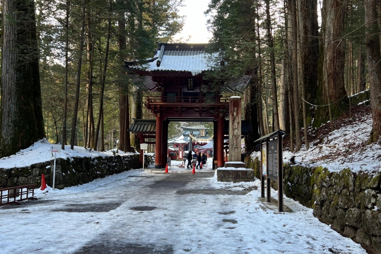 Z Tokio: Prywatna 1-dniowa wycieczka do zabytków Nikko