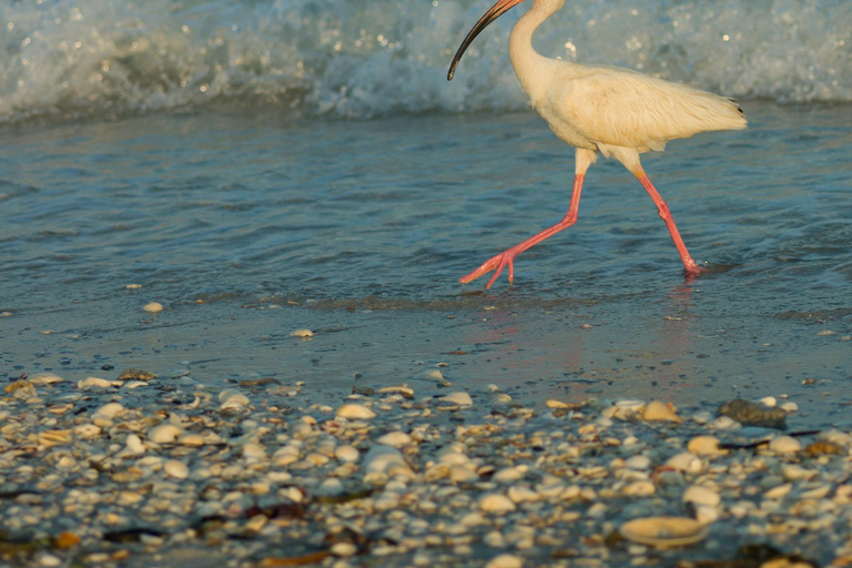 Visite d&#039;une jounée au nord de l&#039;île Maurice, tout compris, avec déjeuner