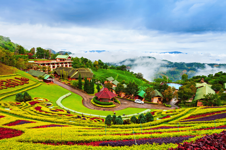 Chiang Rai: Private Tour of Temples, Tea Garden, Hill Tribes