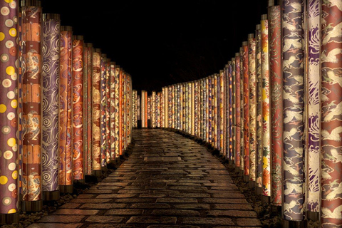 Private Kyoto & Nara Day Tour with English Driver Guide⭐BEST