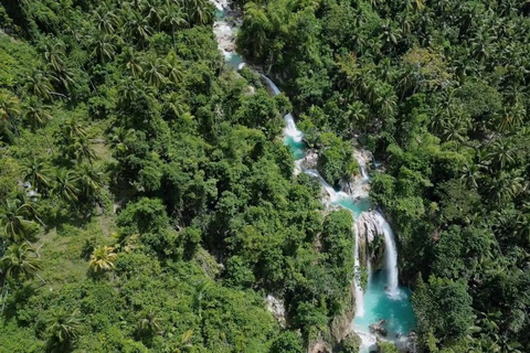 Oslob: Whaleshark Swimming, Inambakan Falls & Moalboal Tour