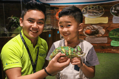 Ocean Park Admission Ticket with 8 Attractions