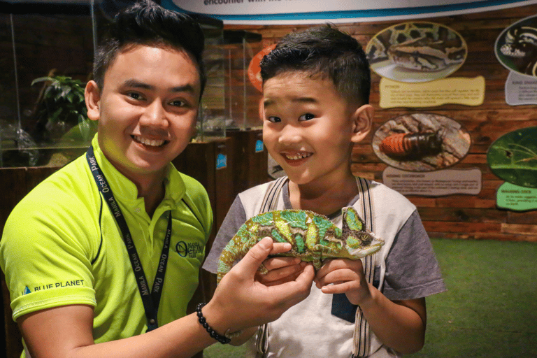 Ocean Park Admission Ticket with 8 Attractions