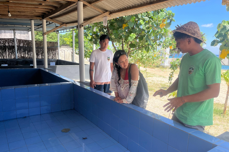 Nusa Penida: Manta Ray Snorkeling & Turtle Sanctuary