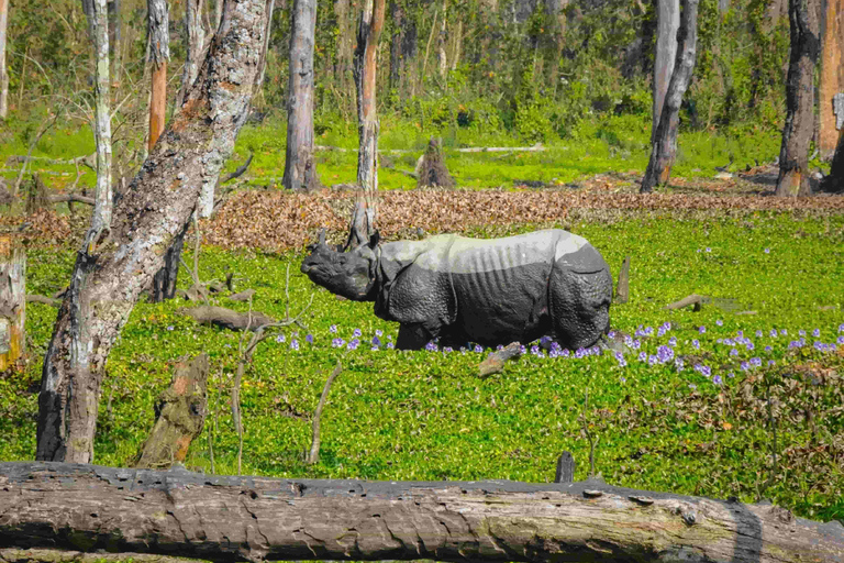 Nepal: 10-dniowa wycieczka z jogą i medytacją