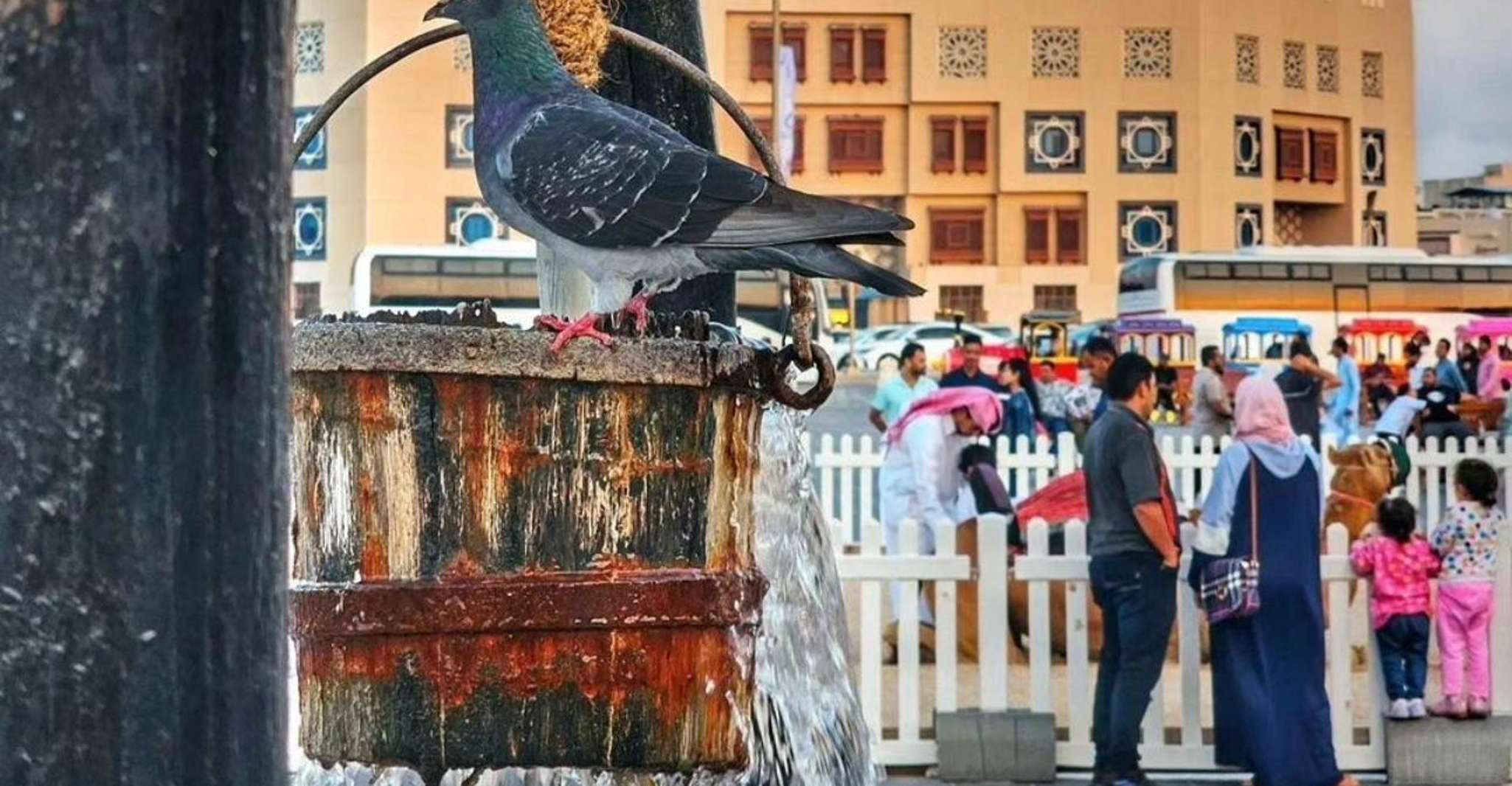 Doha: Private City Tour, Airport or Hotel Pick-up/Drop-off photo 8