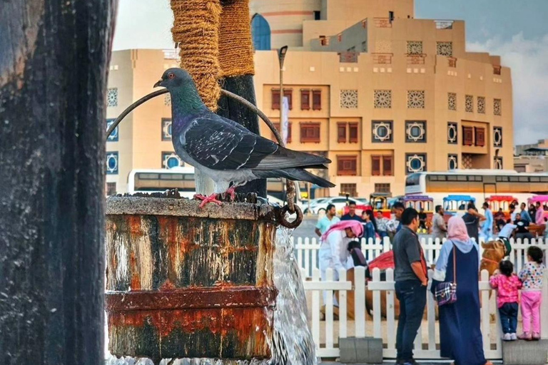 Doha : Stadsvandring från Doha kryssningsterminal med transfer