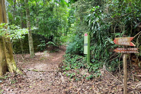 Tijuca Forest´s hike: caves, waterfalls and great views