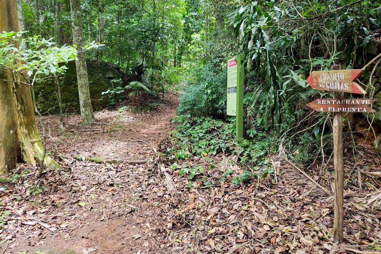 Tijuca Forest´s hike: caves, waterfalls and great views