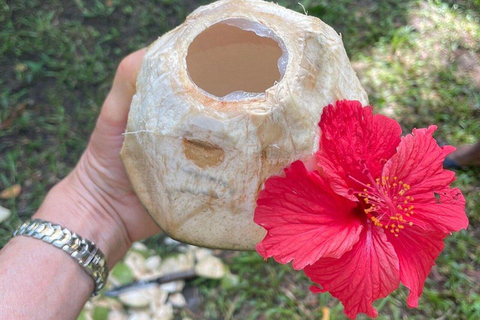 ZANZIBAR: Spice Farm Tour + Lunch & Prison Island Boat Trip