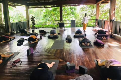 Unawatuna: 4-Day Stay with Yoga, Kayaking, and Jewelry