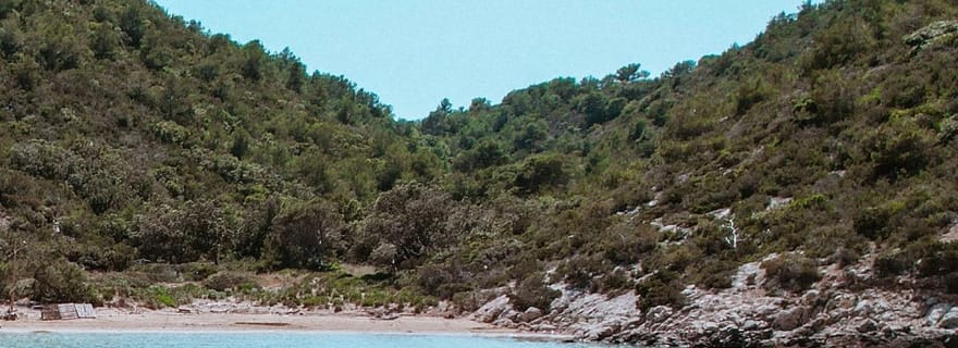 Au départ de Vis : Tour en bateau rapide le long de la rive sud de Vis