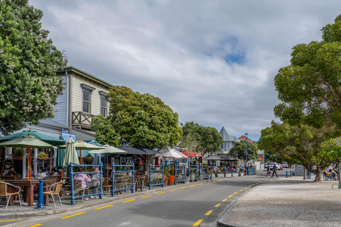 Akaroa Day Tour From Christchurch with Giants House