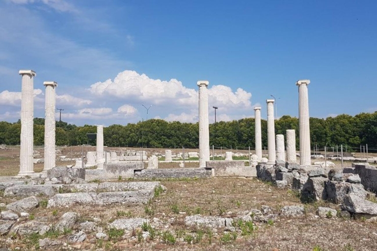 Wycieczka po starożytnej Macedonii (Pella i Vergina) z Ochrydy