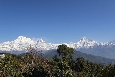 From Pokhara: Australian Camp and Dhampus Guided Day Hike