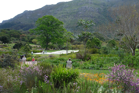 Pássaros e jardins da Cidade do Cabo. Tour particular.