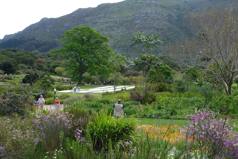 Cape Town Birds &amp; Gardens. Private Tour.Cape Town&#039;s Birds &amp; Gardens. Private Tour.