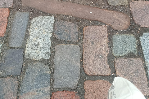 Old Tallinn & Medieval Past Private Tour