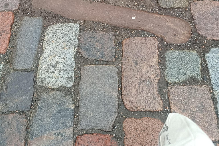 Old Tallinn & Medieval Past Private Tour