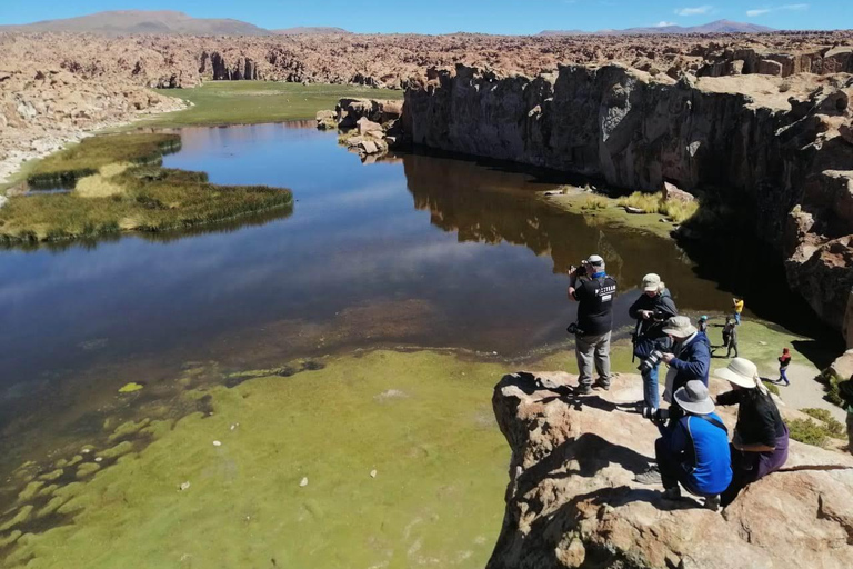 2-Días Salar ida y vuelta desde Uyuni