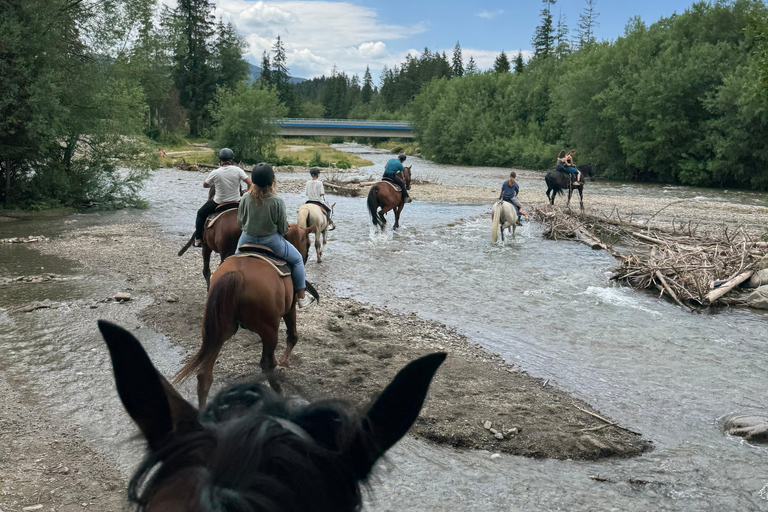 Kraków: Zakopane Horse ride & Thermal Baths Day Trip