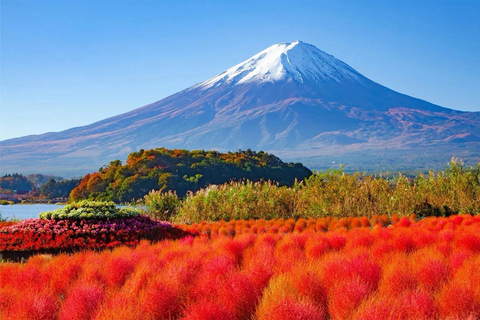 Tokyo: Mt Fuji & Arakurayama& Oshino Hakkai&Lake Kawaguchiko 8:00 AM | Shinjuku Station, West Exit