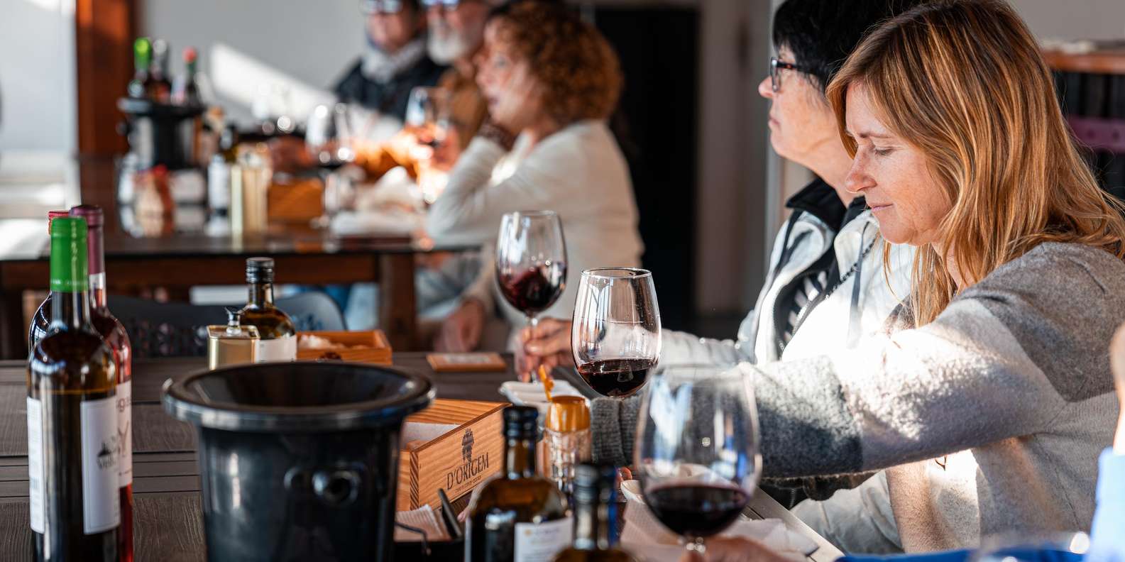 Douro Valley Small Group: 2 Wineries, Lunch & River Cruise