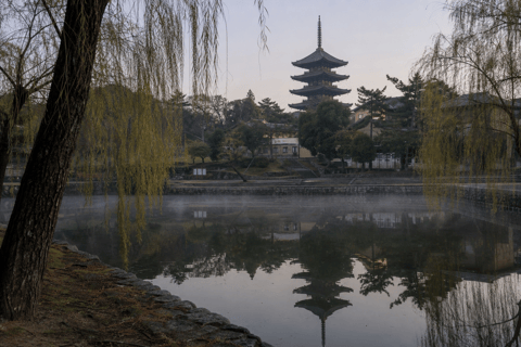 Nara: Pre-Dawn Heritage Walk with Local Guide
