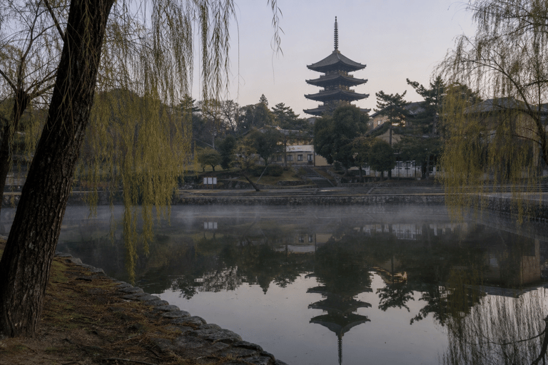Nara: Pre-Dawn Heritage Walk with Local Guide