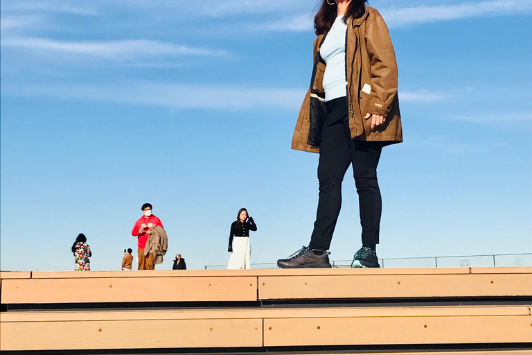 Vanuit Yokohama: Tokio met een privé-gids met vergunningVanuit Yokohama: Tokio met een eigen gids met vergunning