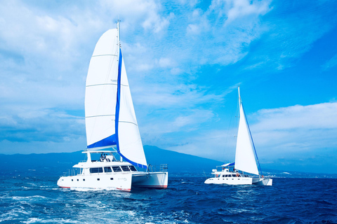Jeju Small Group Tour incl. Yacht Cruise, Falls & Mt.Halla Jeju Small Group Tour with Yacht Cruise, Falls & Mt.Halla