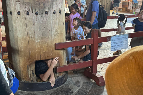 Nara: Visita guiada a pie con el Gran Buda y el Ciervo(5h)