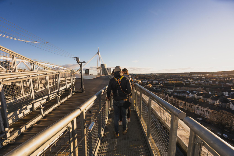 Cardiff: Principality Stadium Roof Walk Adult or Child