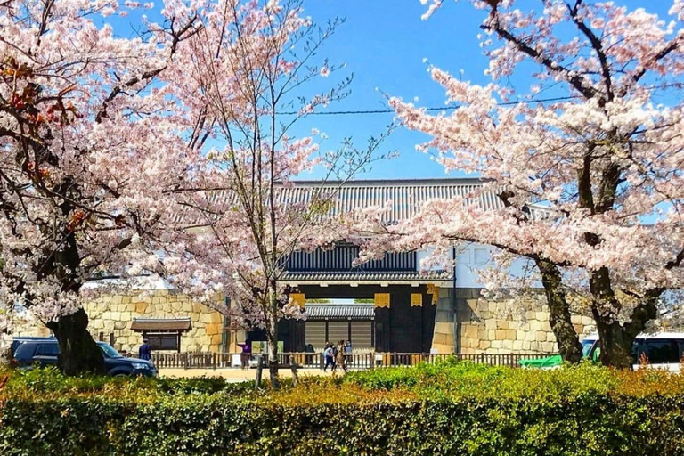 Kyoto/Osaka: Nijo Castle, Arashiyama, Kinkakuji Day Tour Kyoto Full Day Tour | Depart from Kyoto 9:00 AM